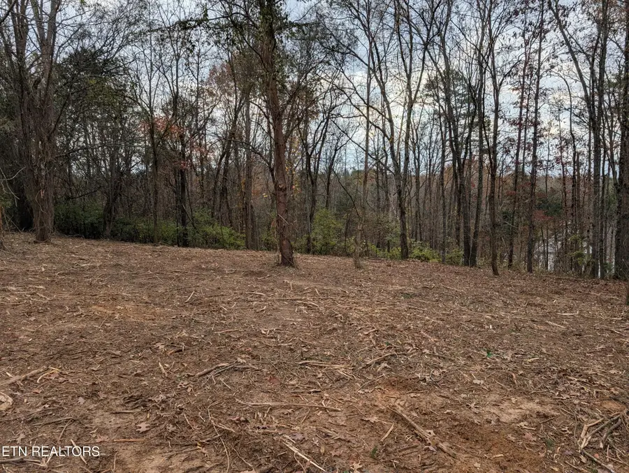 Midway Rd #Lot 3-4, Strawberry Plains, TN 37871 - #2