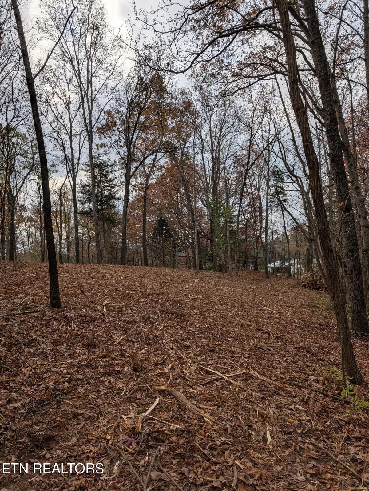Midway Road Lot 3, Strawberry Plains, TN 37871 - #1