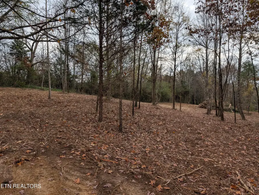Midway Road Lot 4, Strawberry Plains, TN 37871 - #2