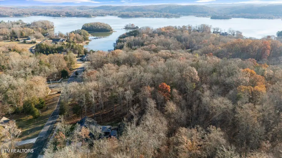 378 Walking Horse Tr, Rockwood, TN 37854 - #2