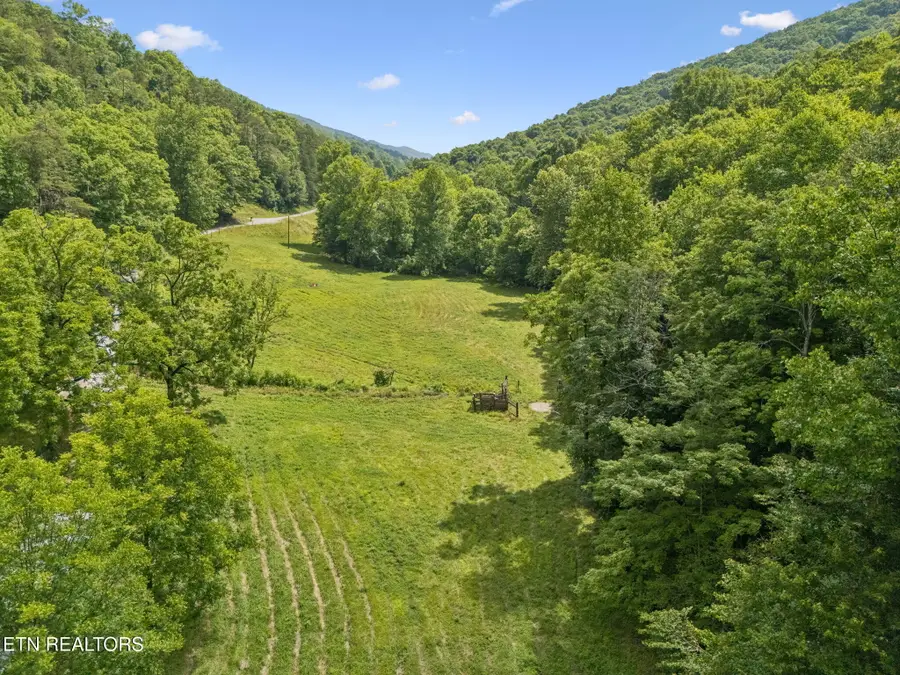 8075 Snake Hollow Rd, Sneedville, TN 37869 - #3