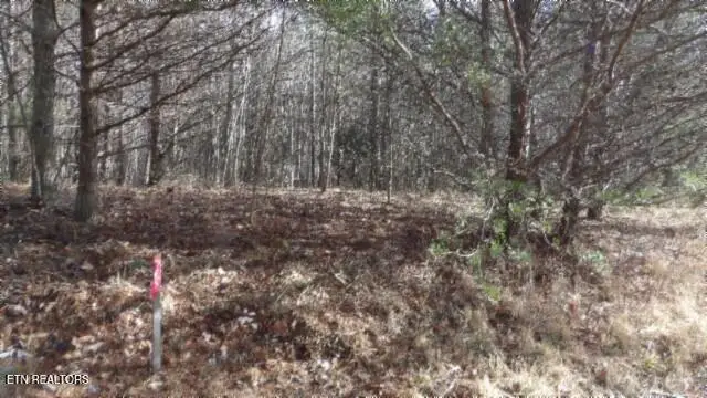 Lot 185 Meadow Lane, Spencer, TN 38585 - #2