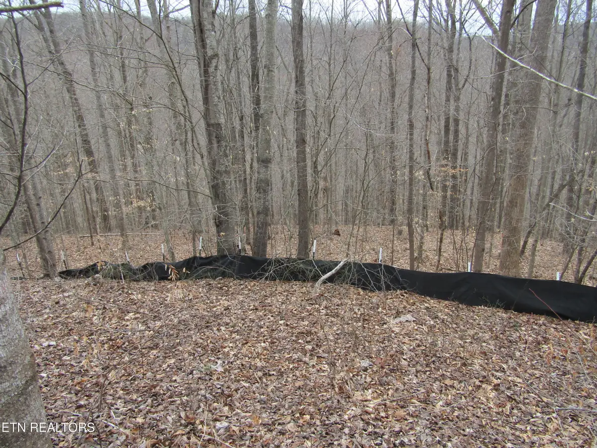 Lot 60 W Bobcat Lane, Wilder, TN 38589 - #1
