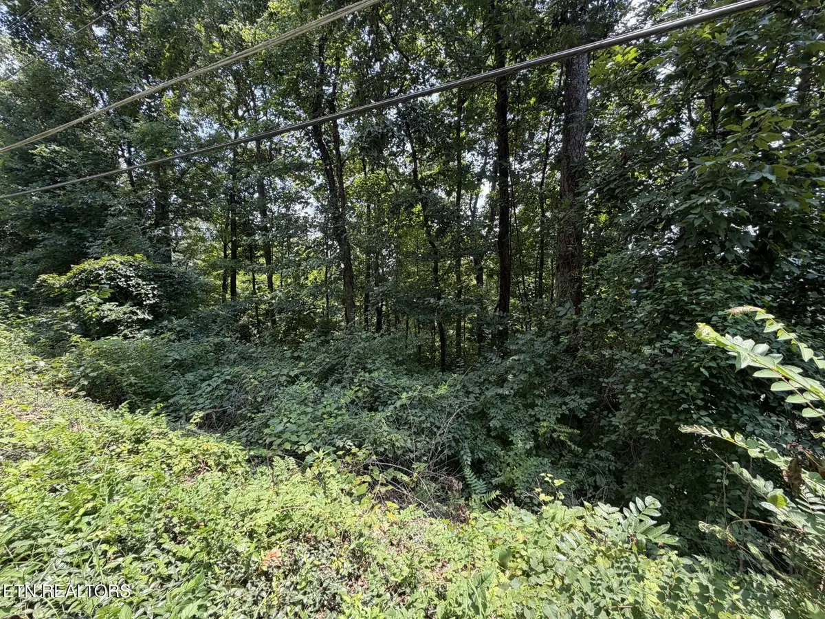 4636 Westover Terrace, Knoxville, TN 37914 - #1