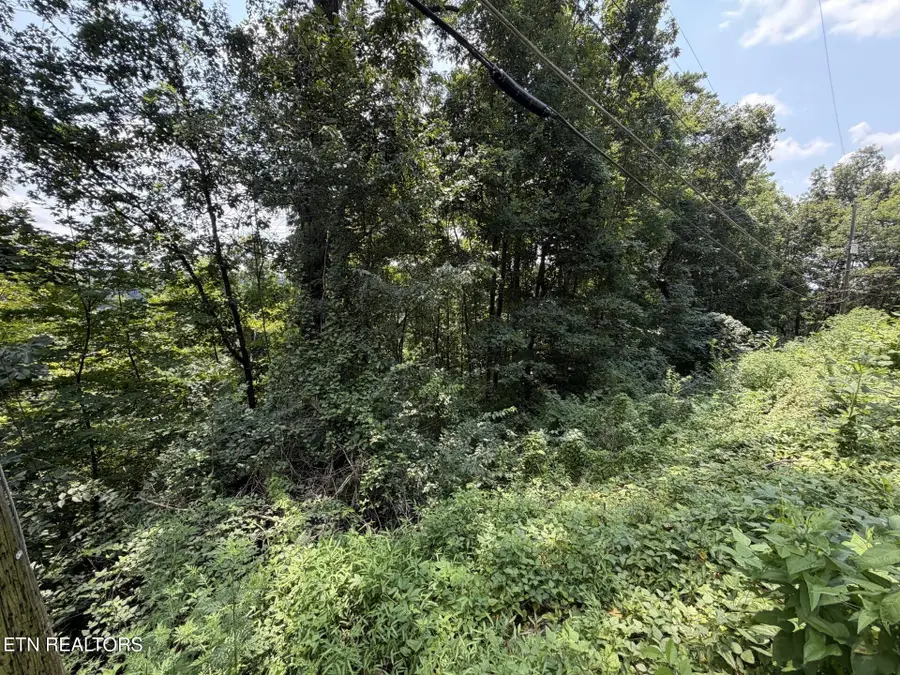4636 Westover Terrace, Knoxville, TN 37914 - #2