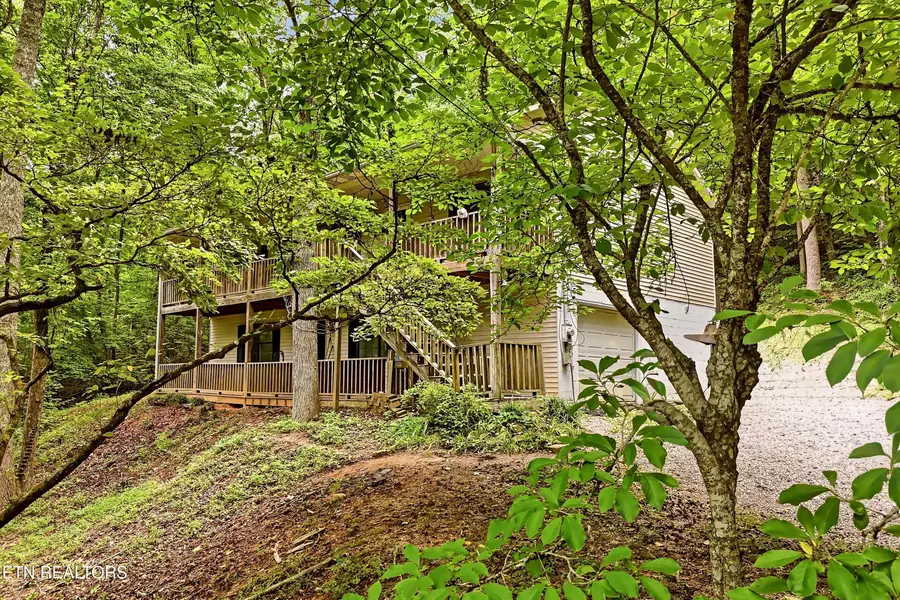334 Pumpkin Hollow Rd, Heiskell, TN 37754 - #2