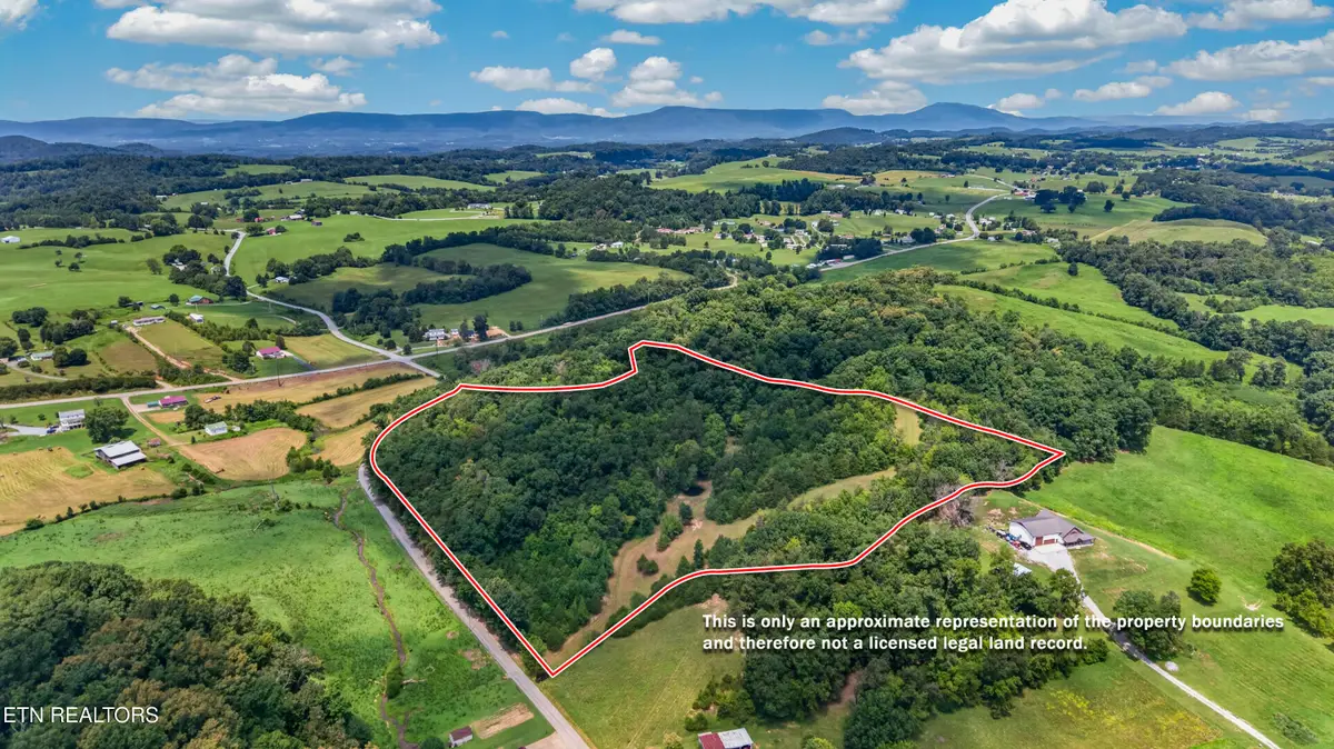 4850 Afton Rd, Afton, TN 37616 - #1