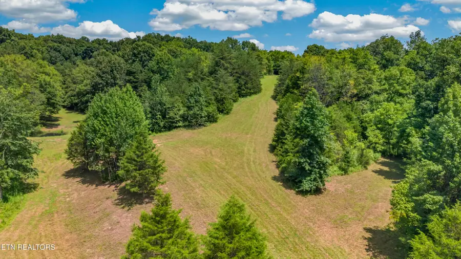 4850 Afton Rd, Afton, TN 37616 - #3