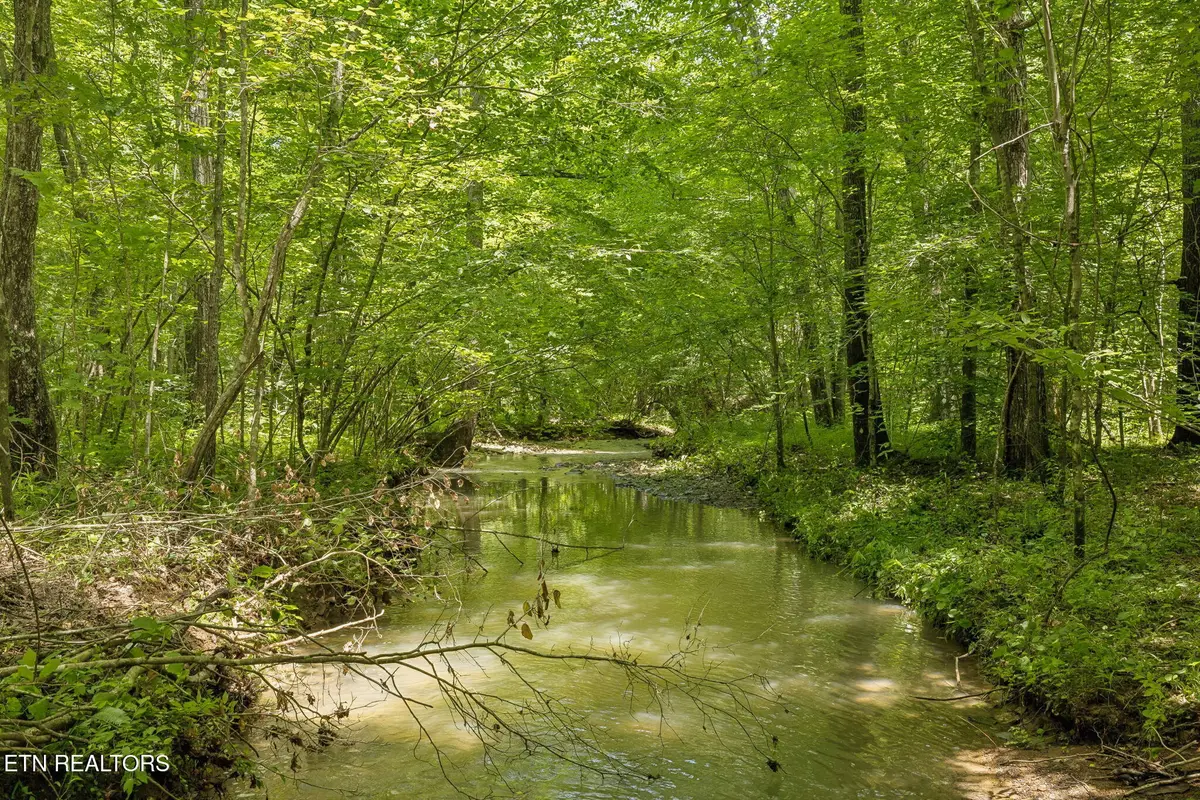 Nydeck Rd, Robbins, TN 37852 - #1