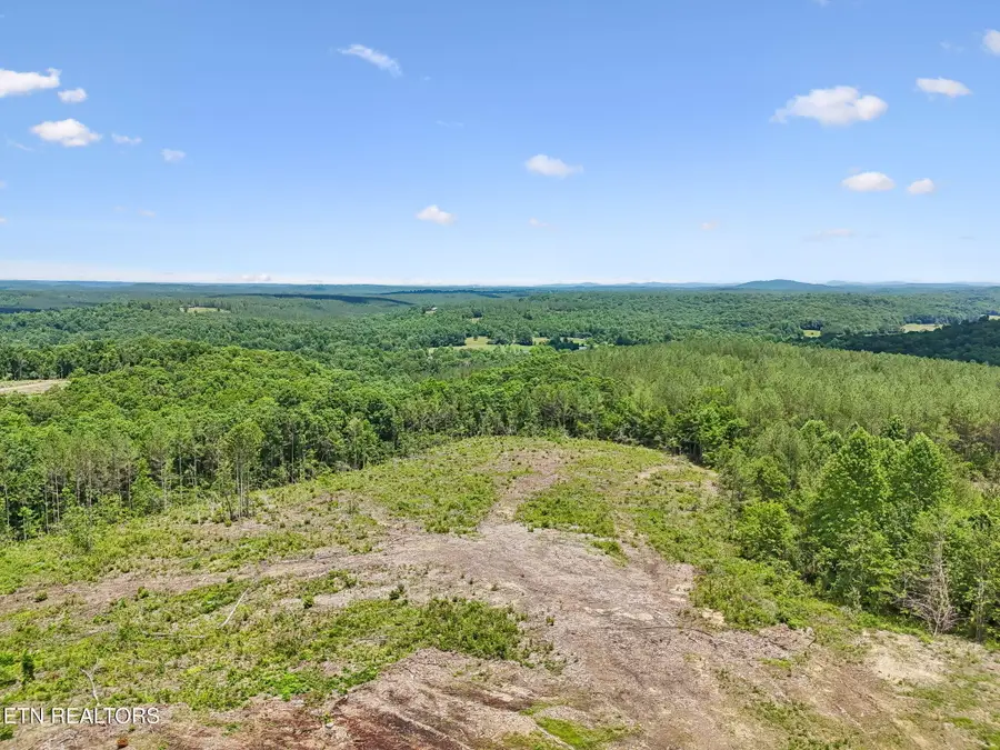 Nydeck Rd, Robbins, TN 37852 - #2