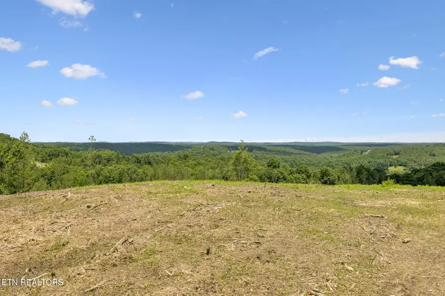 Nydeck Rd, Robbins, TN 37852 - #3