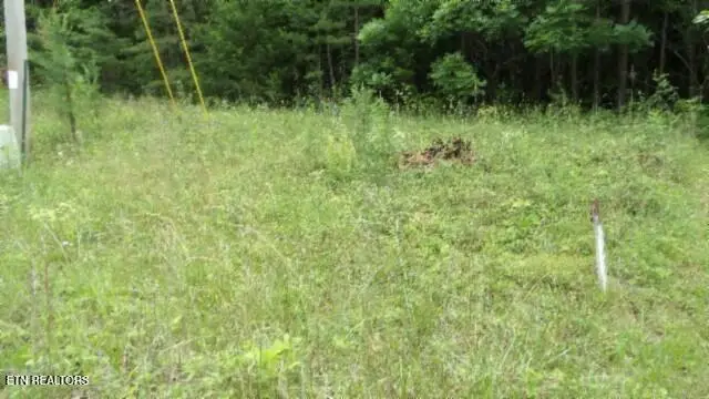 Lot 48 Parkstown Ext. Rd, Wilder, TN 38589 - #1