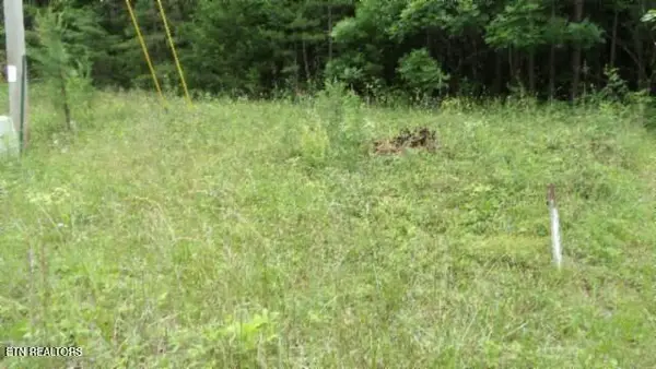 Lot 48 Parkstown Ext. Rd, Wilder, TN 38589