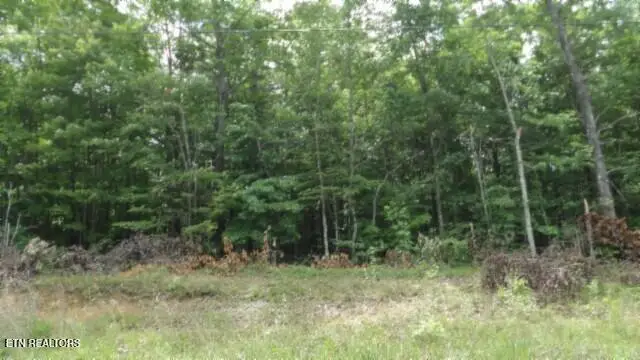 Lot 48 Parkstown Ext. Rd, Wilder, TN 38589 - #2
