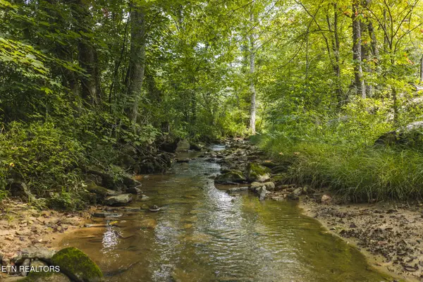 0000 Snake Hollow (162.33 Acres) Rd, Sneedville, TN 37869