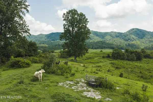 1430 Clinch Valley (55.55 Acres) Rd, Sneedville, TN 37869