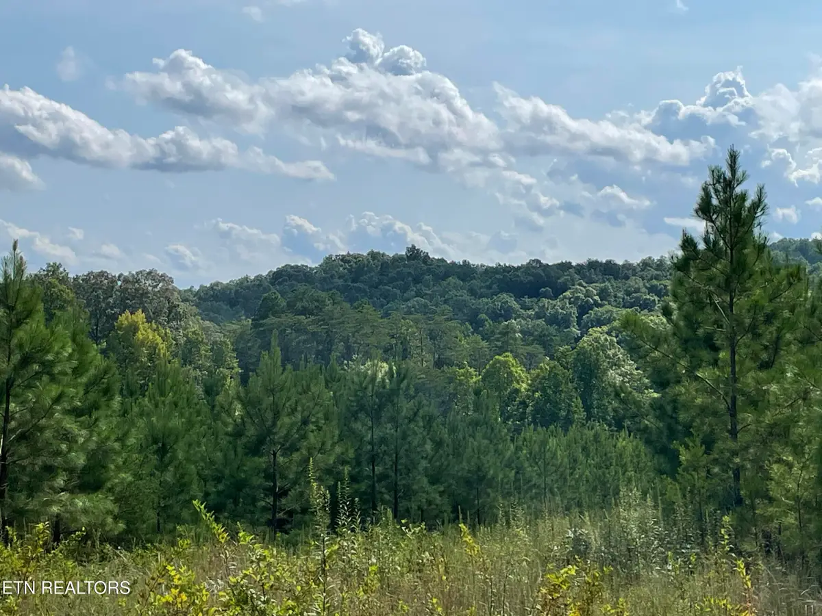Ridgeline Drive, Vonore, TN 37885 - #1