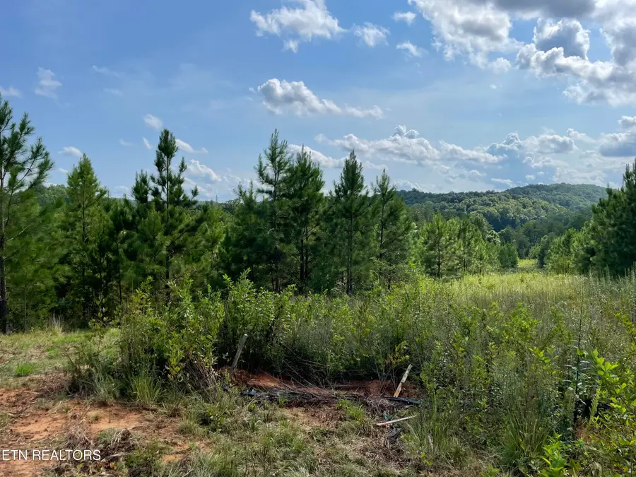 Ridgeline Drive, Vonore, TN 37885 - #2