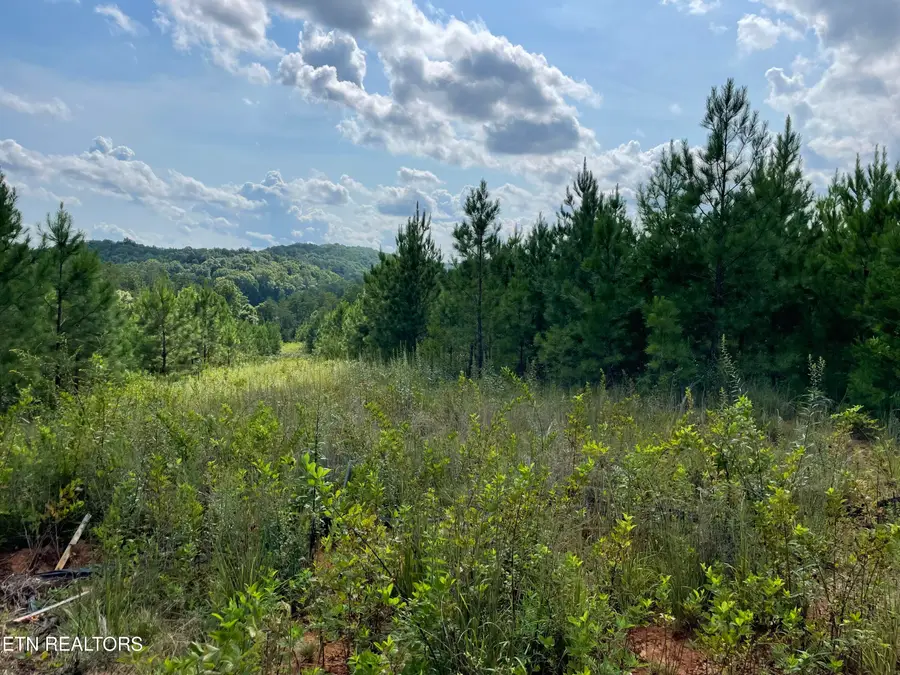 Ridgeline Drive, Vonore, TN 37885 - #3