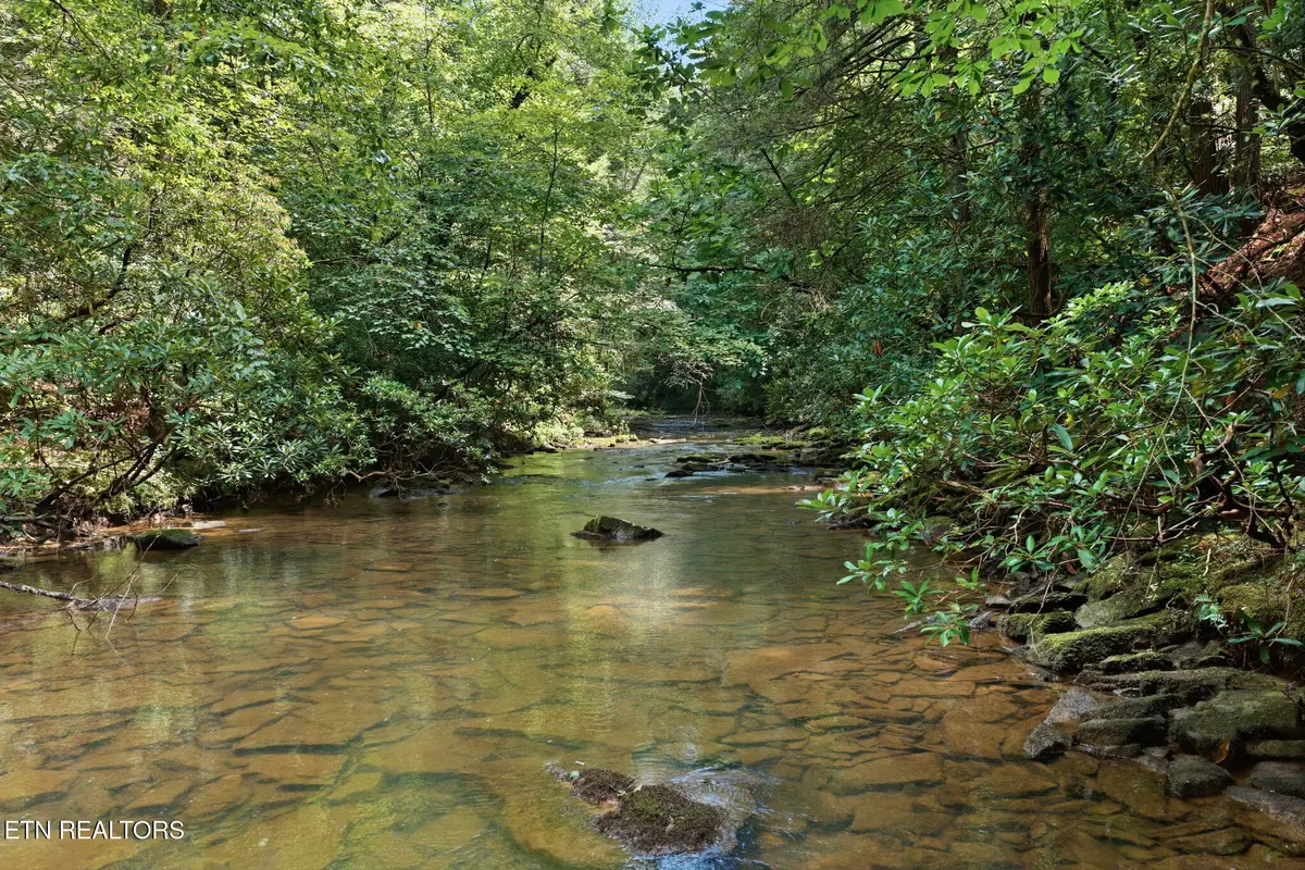 Twin Bridge Rd, Deer Lodge, TN 37726 - #1