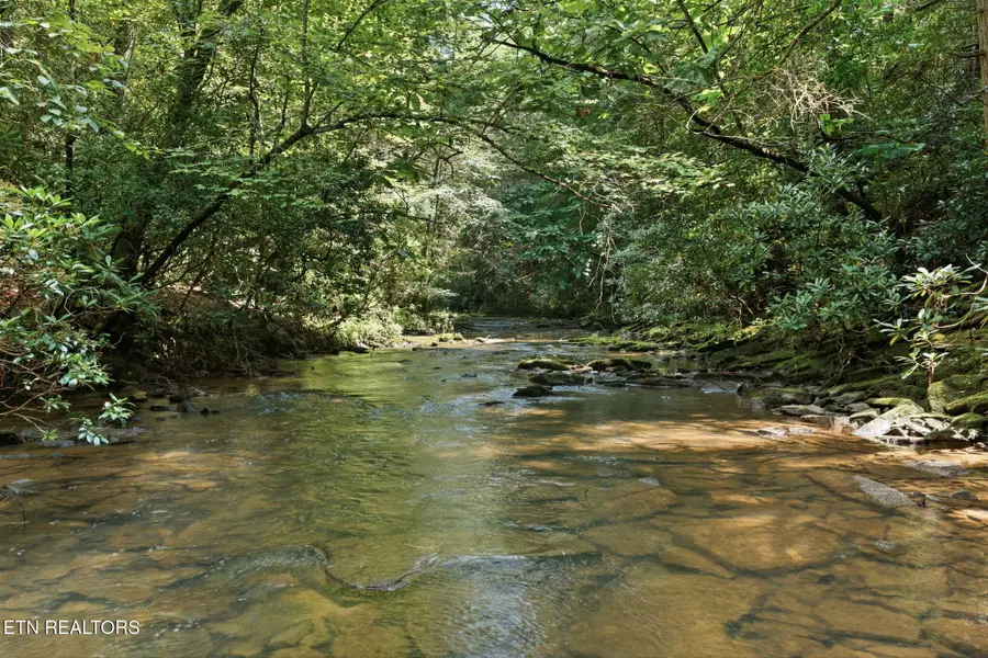 Twin Bridge Rd, Deer Lodge, TN 37726 - #2