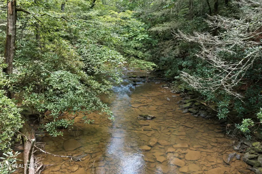 Twin Bridge Rd, Deer Lodge, TN 37726 - #3