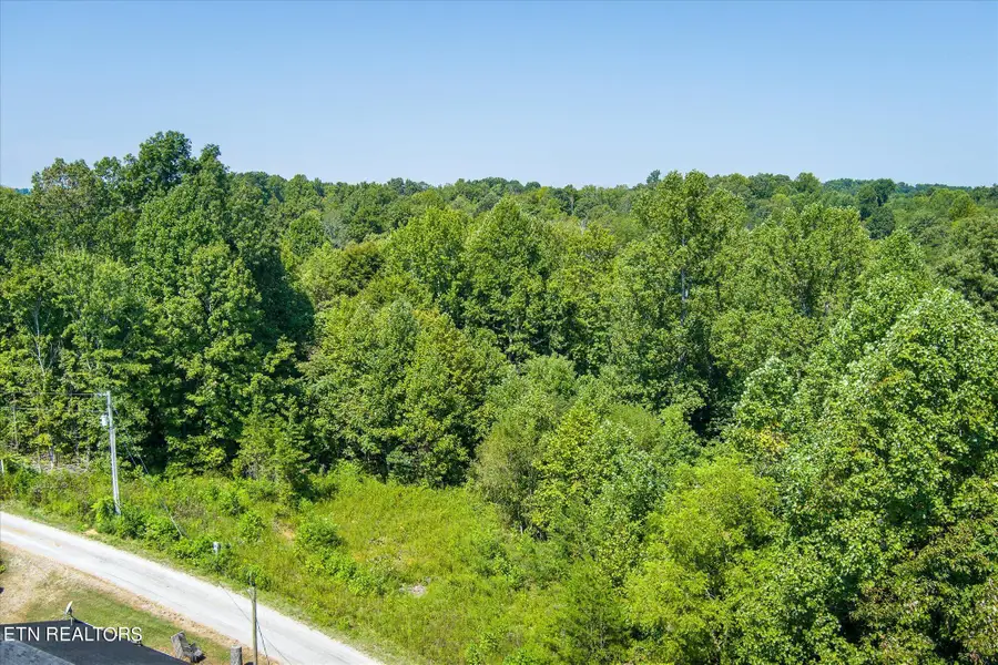 129 Lester Ledbetter Lane, Hilham, TN 38568 - #3