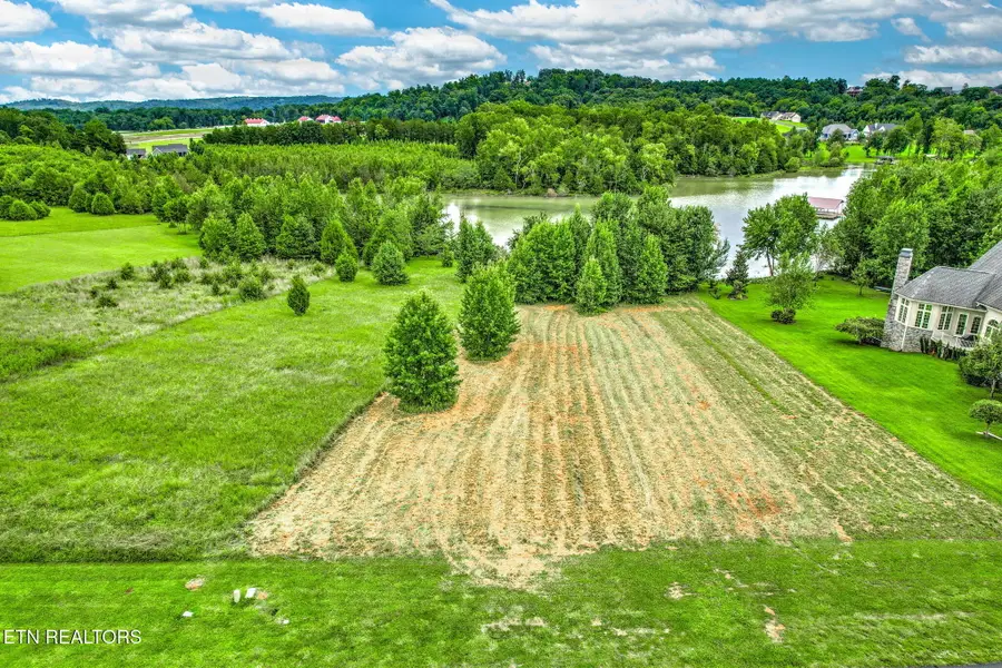 Pointe Vista Drive, Rockwood, TN 37854 - #3