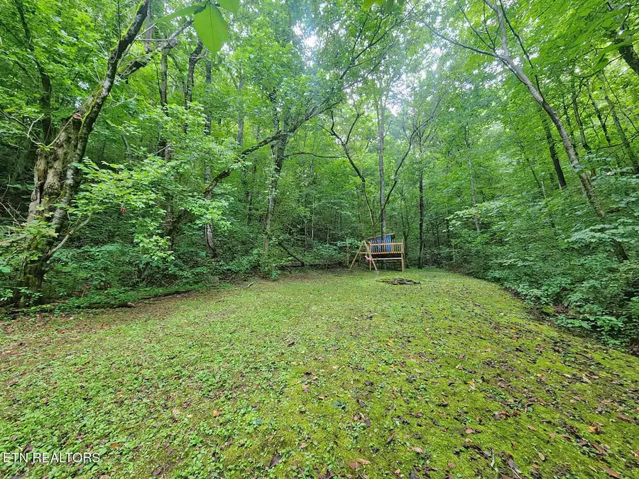 890 Indian Gap Rd, Sevierville, TN 37876 - #2