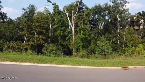 Lot 143 Reedmont Way, Sevierville, TN 37876
