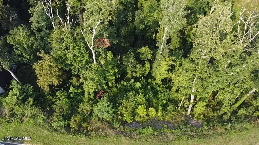 Lot 143 Reedmont Way, Sevierville, TN 37876 - #2