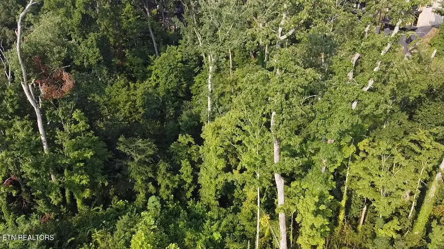 Lot 143 Reedmont Way, Sevierville, TN 37876 - #3