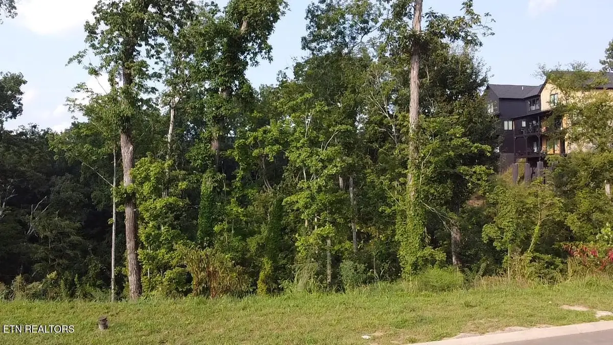 Lot 144 Reedmont Way, Sevierville, TN 37876 - #1