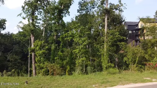 Lot 144 Reedmont Way, Sevierville, TN 37876