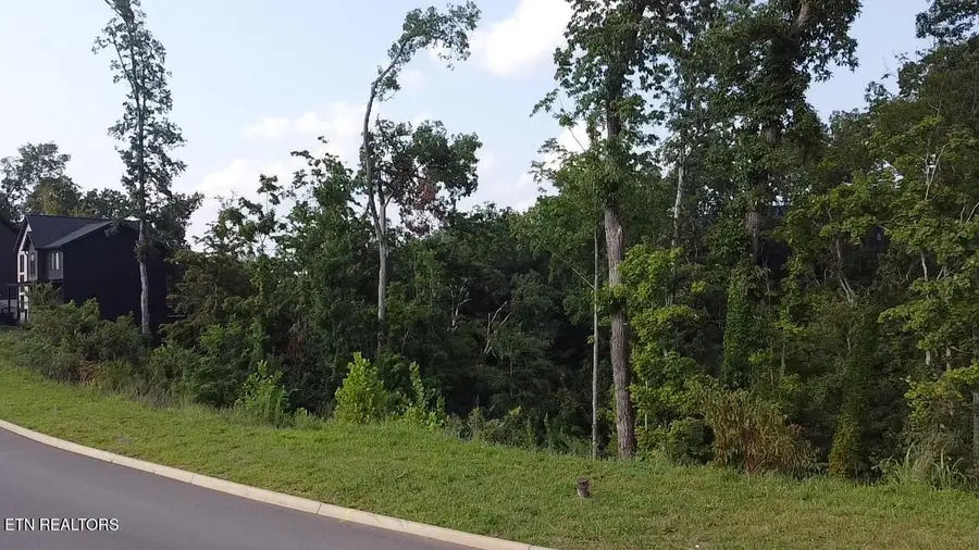 Lot 144 Reedmont Way, Sevierville, TN 37876 - #2