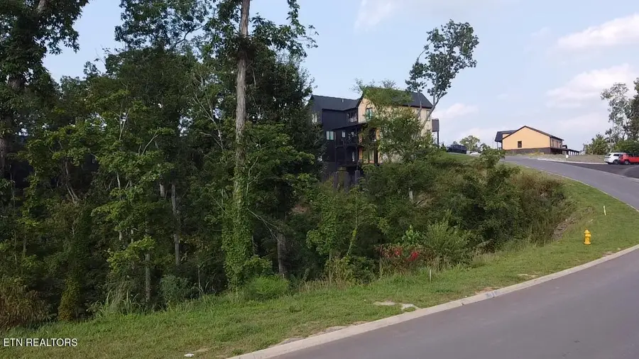 Lot 144 Reedmont Way, Sevierville, TN 37876 - #3