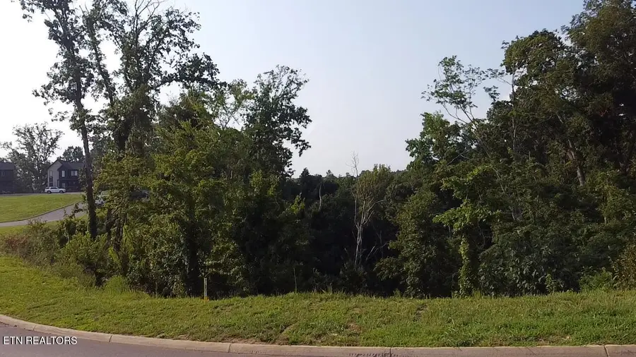 Lot 145 Reedmont Way, Sevierville, TN 37876 - #2