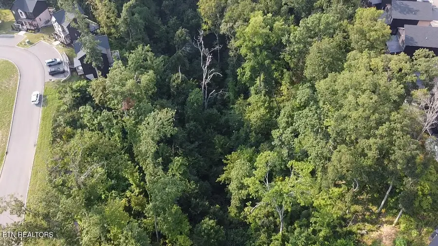Lot 145 Reedmont Way, Sevierville, TN 37876 - #3
