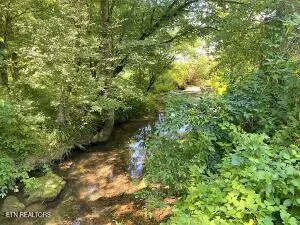 674 Paint Rock Rd, Philadelphia, TN 37846 - #1