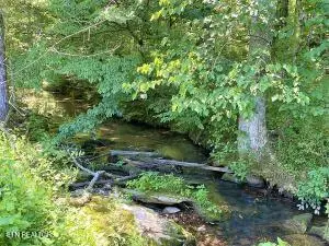674 Paint Rock Rd, Philadelphia, TN 37846 - #2
