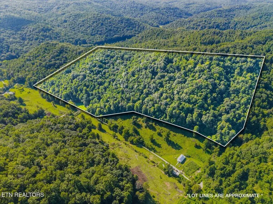 259 Walden Hollow Lane, Lafollette, TN 37766 - #2