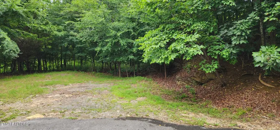 Kahiti Court, Mooresburg, TN 37811 - #3