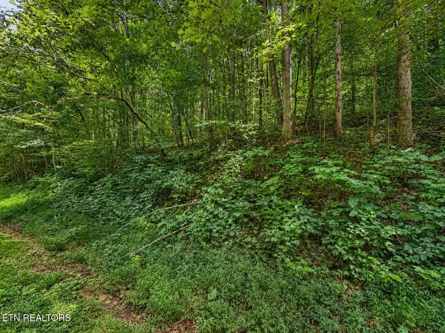 Johnson Valley Rd, Philadelphia, TN 37846 - #2
