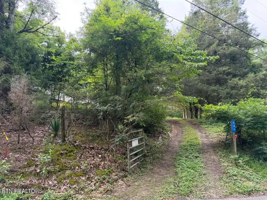 131 Williams Circle, Rockwood, TN 37854 - #3