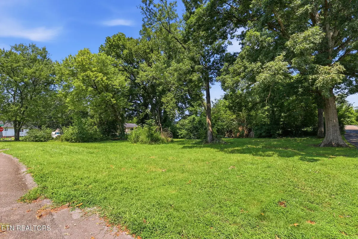 2400 Rim St, Knoxville, TN 37917 - #1