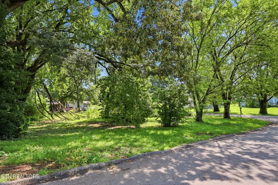 2400 Rim St, Knoxville, TN 37917 - #3