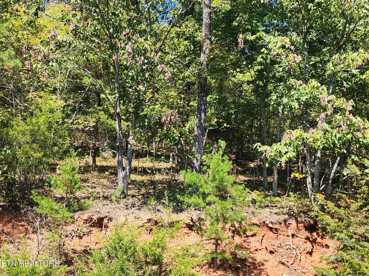 lot 609 Chimney Rock Rd, New Tazewell, TN 37825 - #1