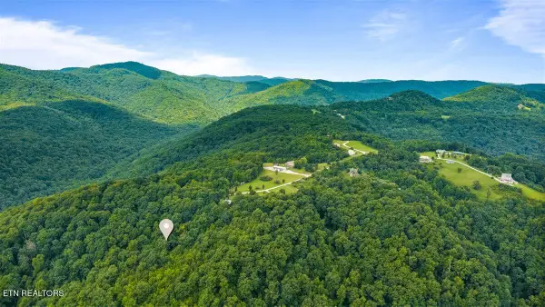 Racoon Lane, Pioneer, TN 37847