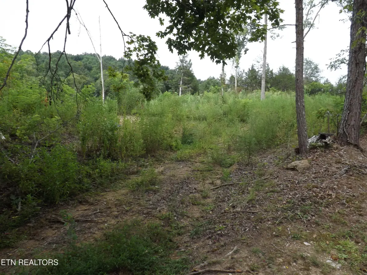 TBD Roy Thomas Lane, New Tazewell, TN 37825 - #1