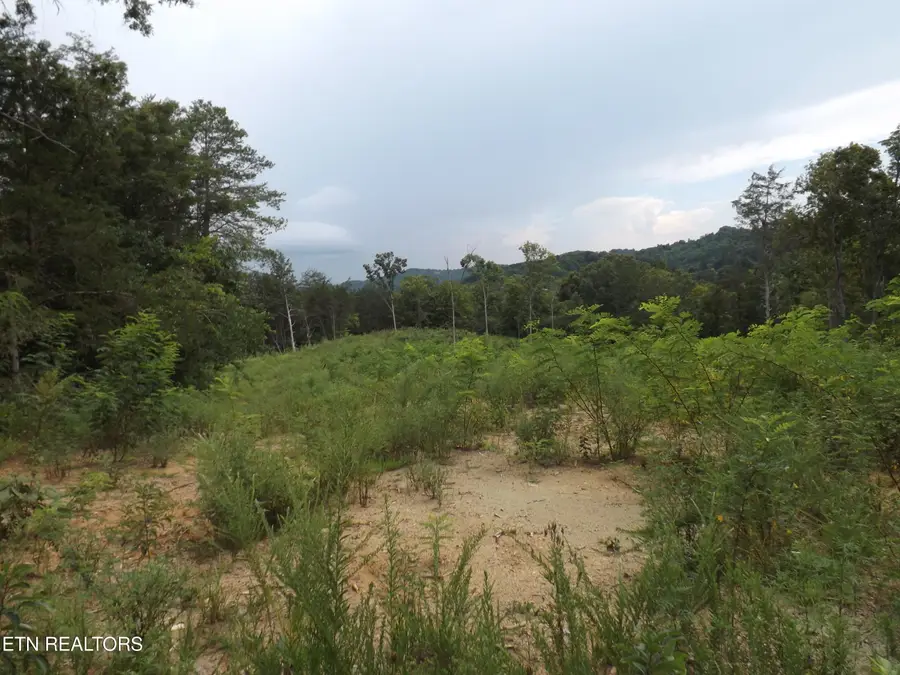 TBD Roy Thomas Lane, New Tazewell, TN 37825 - #2